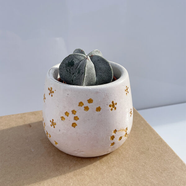 CELESTIAL Pot / Candle Container - Image 13