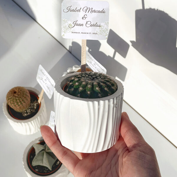 SOL Succulent Pot / Candle Container - Image 6